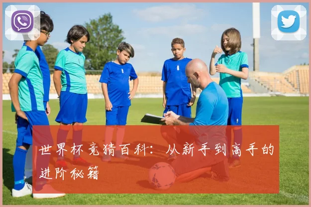 世界杯竞猜百科：从新手到高手的进阶秘籍