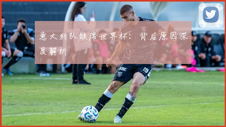 意大利队缺席世界杯：背后原因深度解析