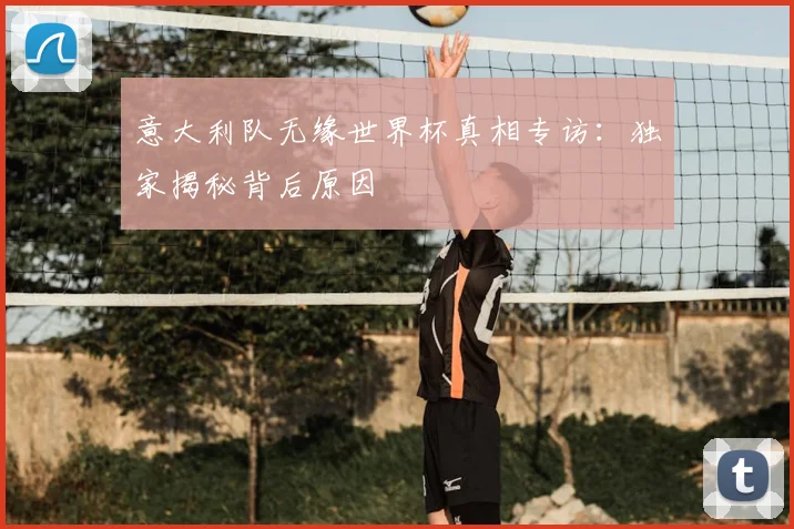 意大利队无缘世界杯真相专访：独家揭秘背后原因