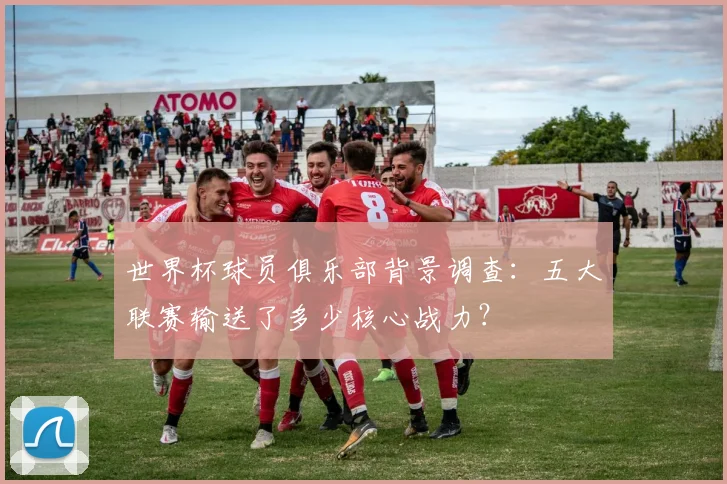世界杯球员俱乐部背景调查：五大联赛输送了多少核心战力？