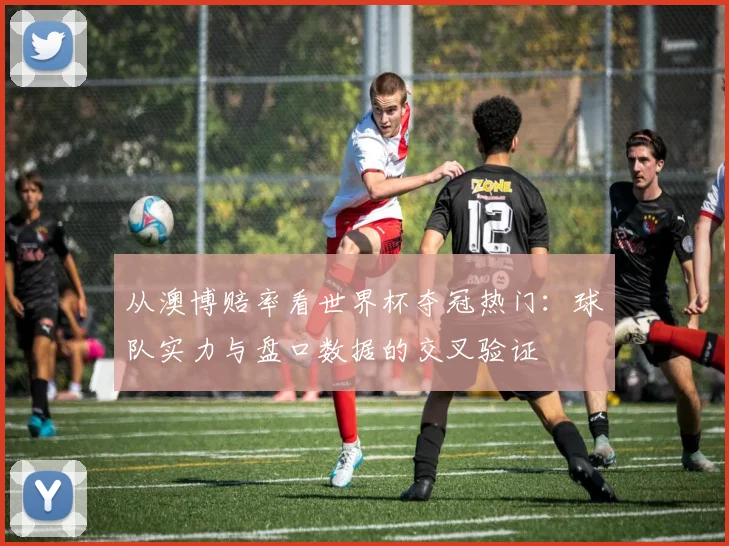 从澳博赔率看世界杯夺冠热门:球队实力与盘口数据的交叉验证