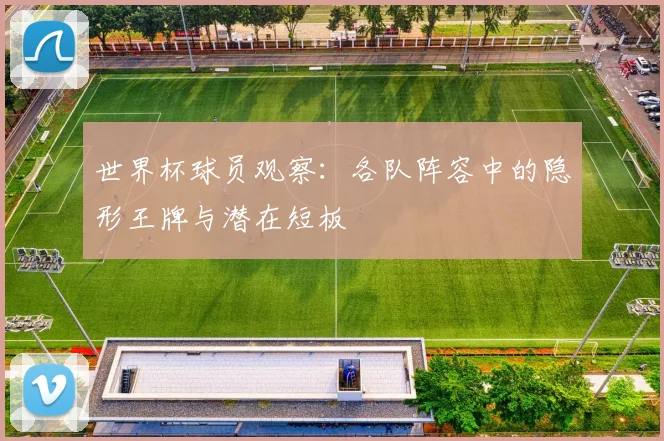 世界杯球员观察：各队阵容中的隐形王牌与潜在短板